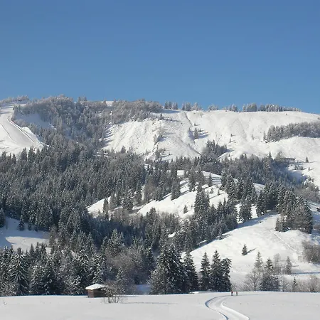 Appartement Haus Hubertus Hochfilzen
