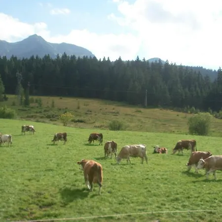 Apartamento Haus Hubertus *