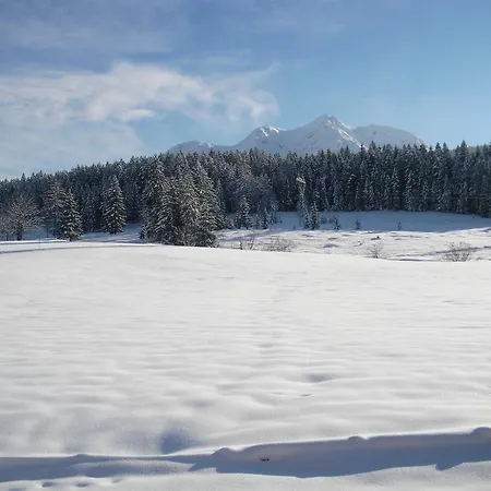Haus Hubertus Hochfilzen